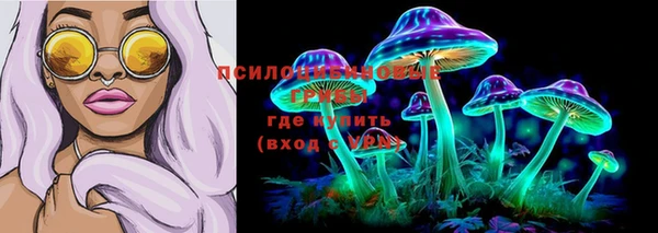 дурь Новозыбков