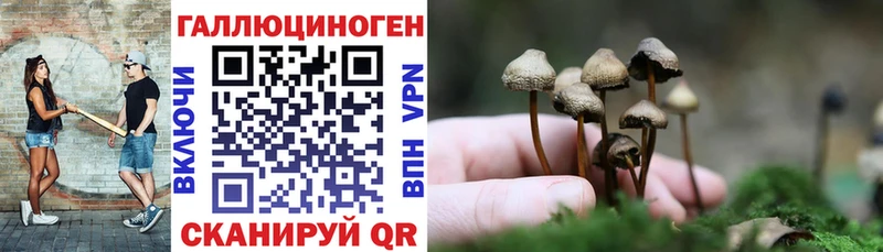 MEGA как зайти Кириши Псилоцибиновые грибы ЛСД даркнет сайт